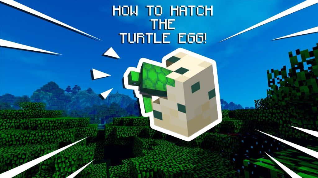 How to Hatch Turtle Eggs in Minecraft?